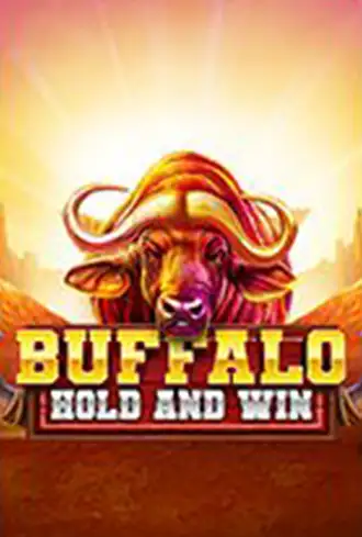 buffalo-hold-and-win-seo