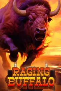 raging-buffalo-seo